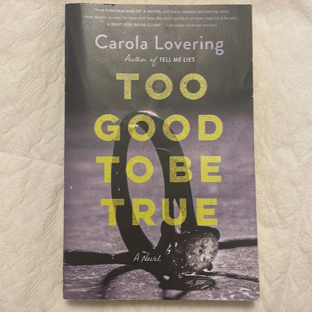 Too Good to Be True by Carola Lovering